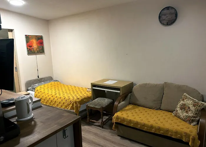 Nowoczesne Studio Z Ogrodem I Parkingiem